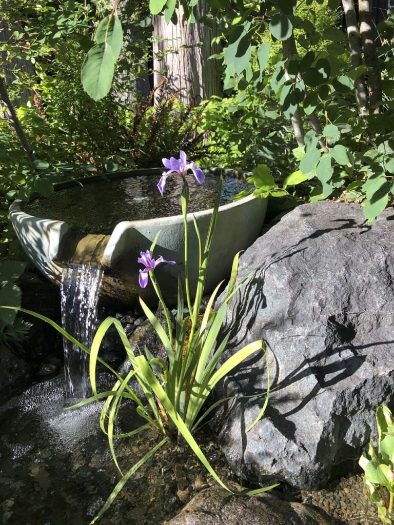 Garden water feature 1 768x1024