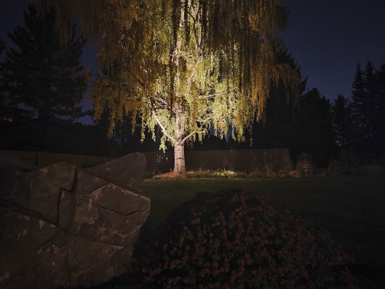 Outdoor lighting large tree 2 768x576