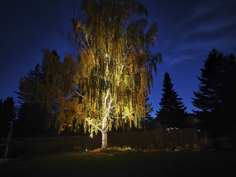 Outdoor lighting large tree 768x576