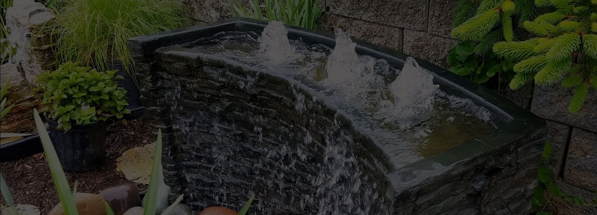 Ponds and water features hero